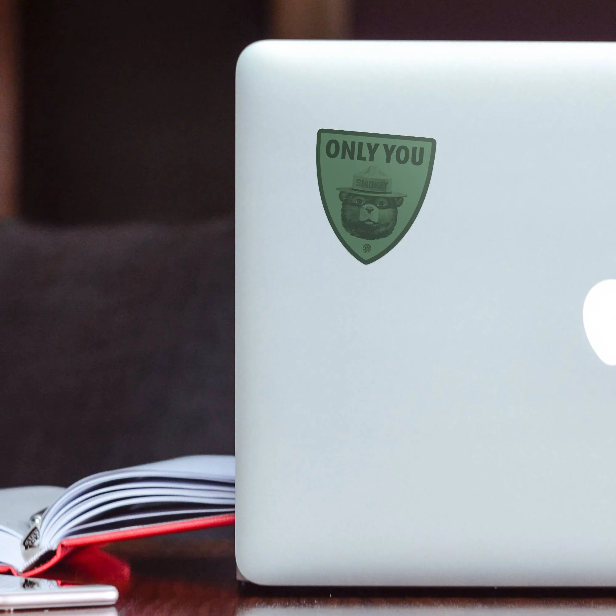 ONLY YOU :: Smokey Bear - Die-cut Sticker