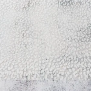 White Leopard Print Clear TPU Vinyl